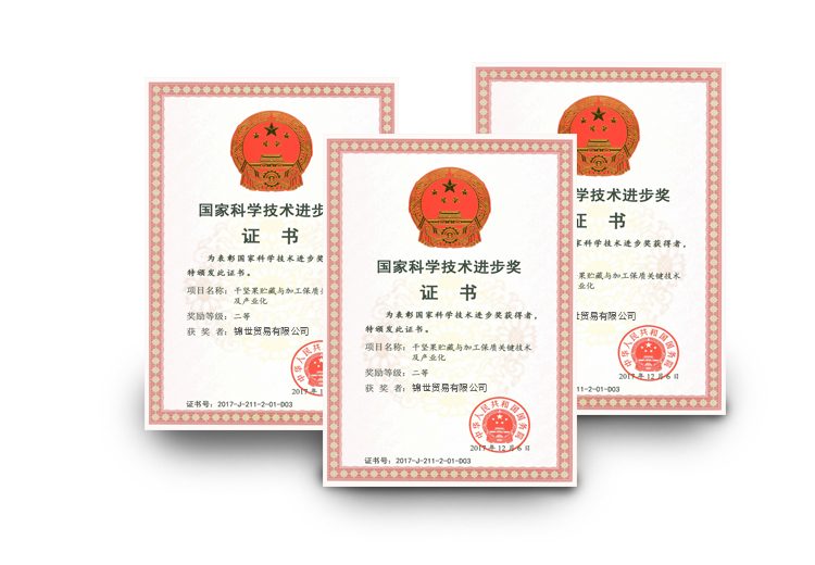 荣誉二十载